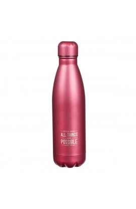 FLS023 - SS Water Bottle All Things Possible - - 1 