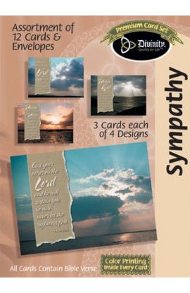 DB17990N - SYMPATHY SKIES INDIVIDUAL CARD - - 1 