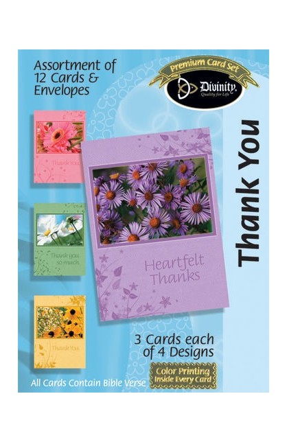 DB17993N - THANK YOU INDIVIDUAL CARD - - 1 