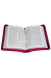 AE0907 - الكتاب المقدس 15 ZA بسوستة للشباب - - 3 