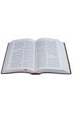 AE0909 - الكتاب المقدس 42 عمودين للشباب - - 9 