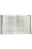 AE0913 - الكتاب المقدس 53 TI بشواهد CRA - - 3 