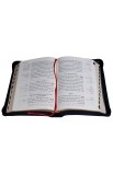 AE0914 - الكتاب المقدس 57 TIZ شواهد NVD-CRA ورق كريم - - 3 