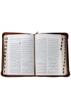 AE0974 - الكتاب المقدس بالخلفيات التوضيحية جلد - بالفهرس بسوستة - - 7 