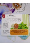 TIN017 - Cards in Tin Mini Moments with God - - 3 