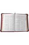 AE0974 - الكتاب المقدس بالخلفيات التوضيحية جلد - بالفهرس بسوستة - - 16 
