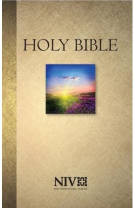 BK3142 - NIV 2011 VERSION PAPERBACK BIBLE 124050 - - 1 