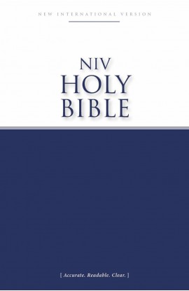 BK3160 - NIV ECON BIBLE SC - - 1 