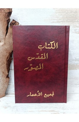 BK0231 - الكتاب المقدّس المصوّر لجميع الأعمار - ايفا هوث - 1 