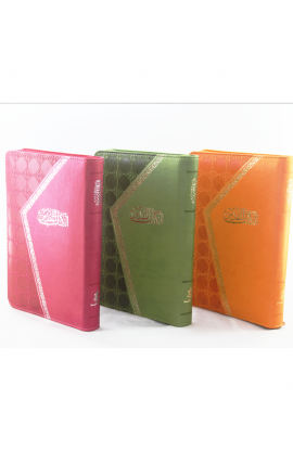 BK2367 - ARABIC BIBLE NVD15ZA - - 1 